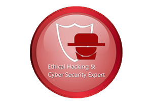 Ethical Hacking & Cyber Security